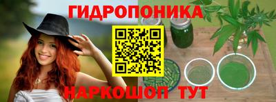 стаф Заволжье